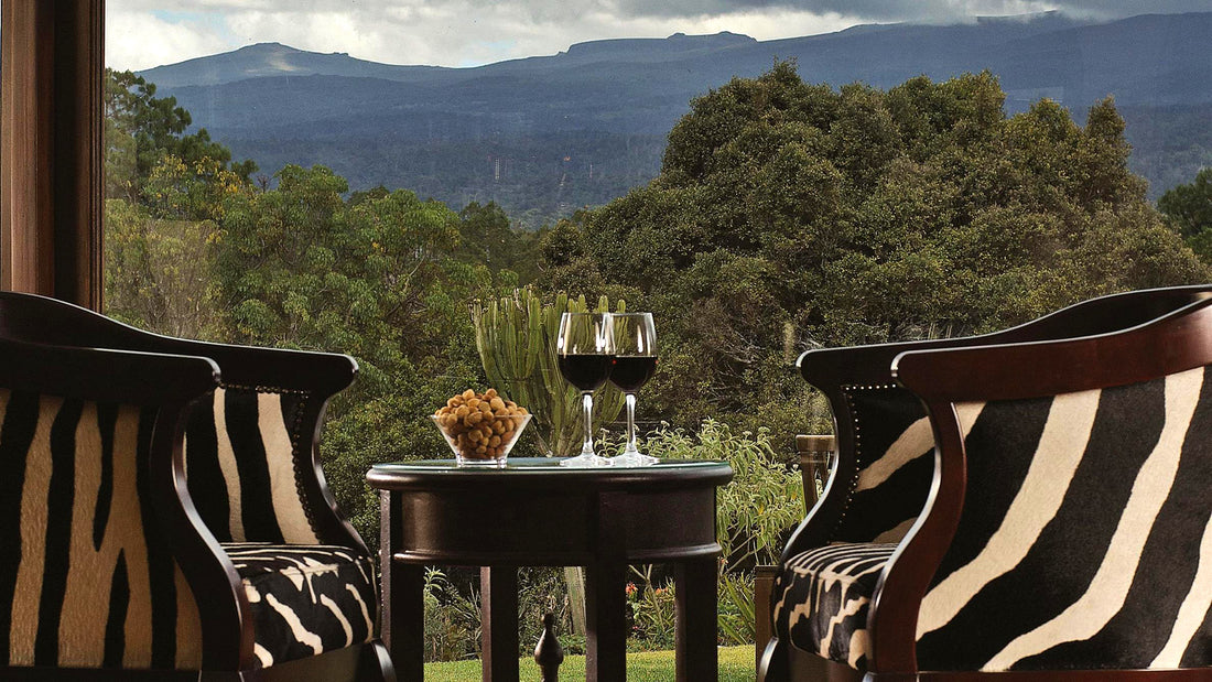 2 Famous Contemporary Inspirations to Make Your Zebra Interiors Stand Out