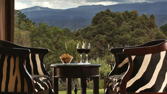 2 Famous Contemporary Inspirations to Make Your Zebra Interiors Stand Out