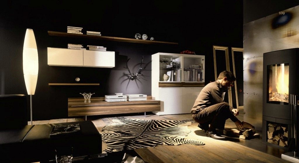 6 Alternative Uses for Zebra Rugs