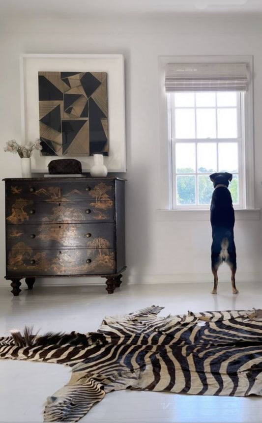 Celebrities Embrace the Glamour of Zebra Hide in their Homes