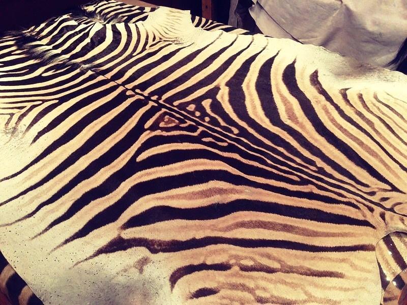 Difference between Grade A and B Zebra Skin Rug