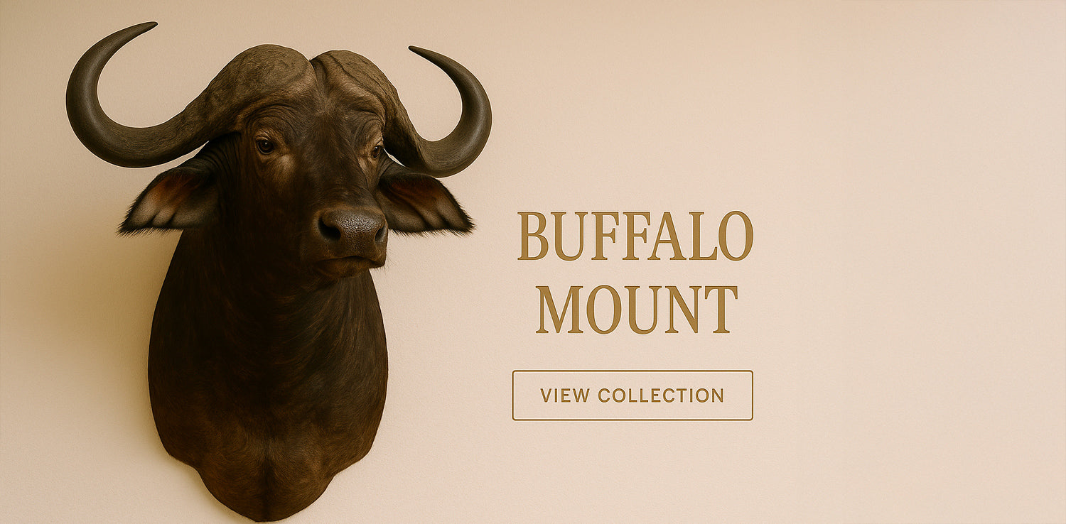 African Taxidermy mounts for sale