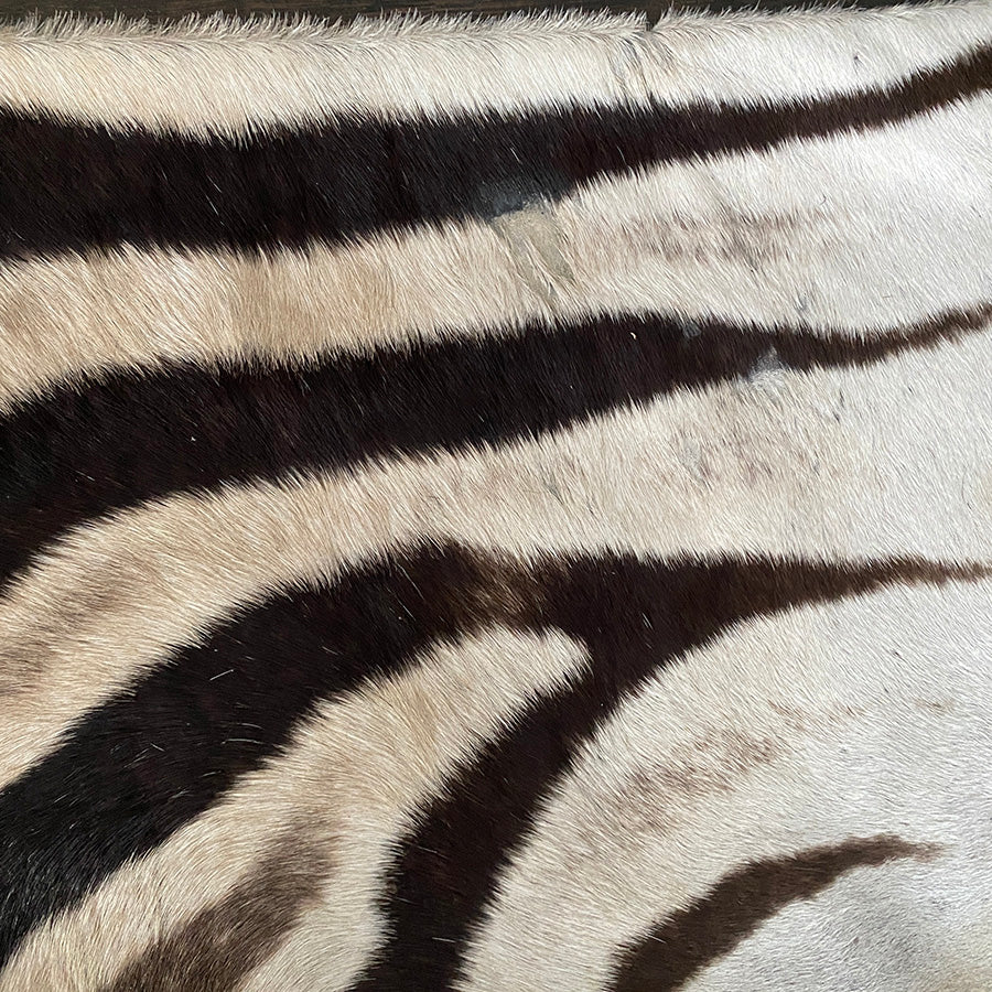 Zebra skin pillow