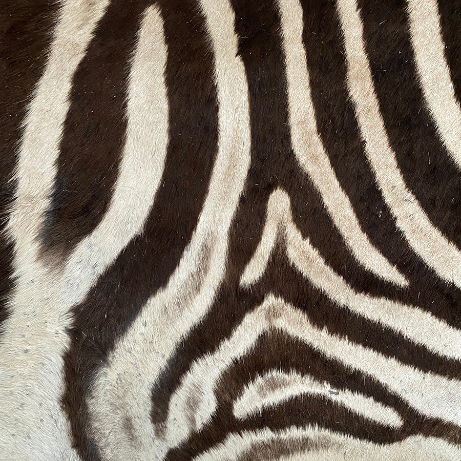 16" Zebra Hide Pillow Cover 06