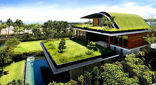 7 Simple Ways to Make Your Home Eco-Friendly