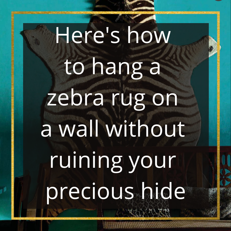 How to Safely Hang a Real Zebra Skin Rug on the Wall