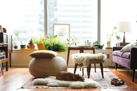 5 Tricks to Create Instagram-Worthy Photos at Home