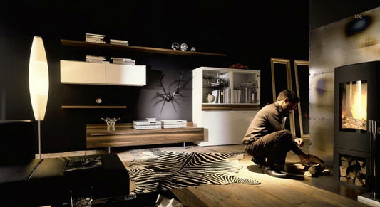 6 Alternative Uses for Zebra Rugs