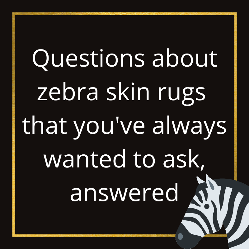 Answers to Zebra Rug Questions You’ve Always Wanted to Know