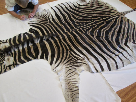 Easy Tips on Buying a Zebra Skin and zebra pelt
