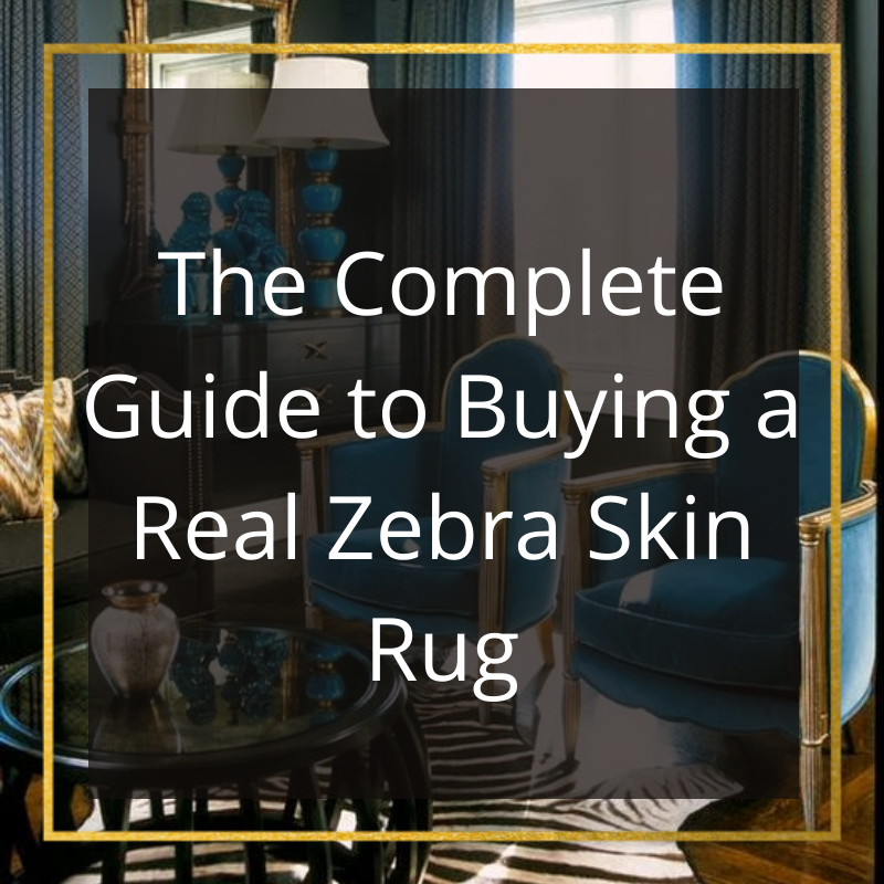 The Complete Guide to Buying a Real Zebra Skin Rug