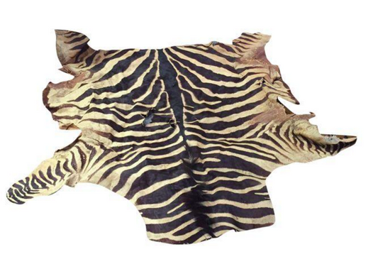 4 Creative Ways to Repurpose an Old Zebra Skin Rug and zebra hide