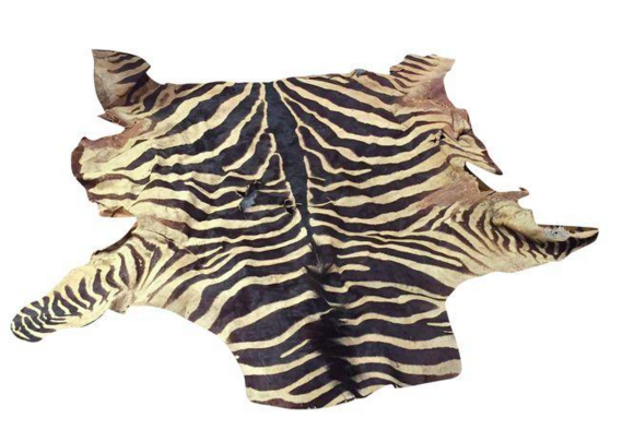 4 Creative Ways to Repurpose an Old Zebra Skin Rug