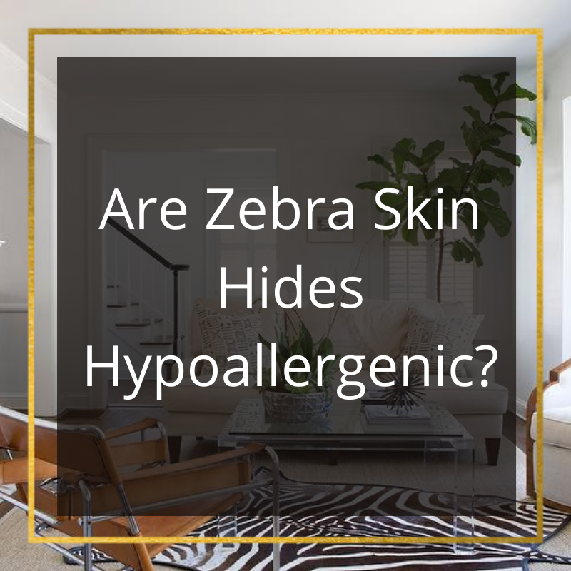 The Health of the Matter: Are Zebra Skin Hides Hypoallergenic?