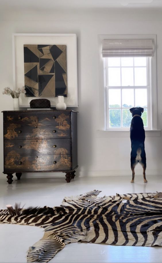 Celebrities Embrace the Glamour of Zebra Hide in their Homes