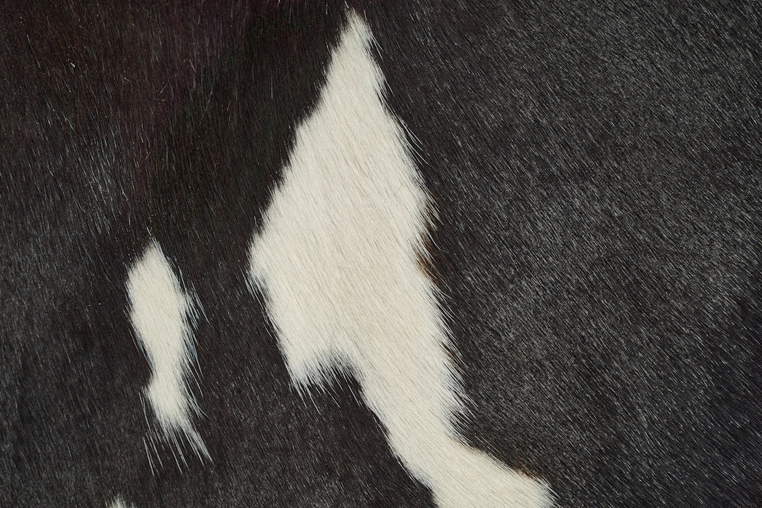 a close up of a cow's black and white pattern