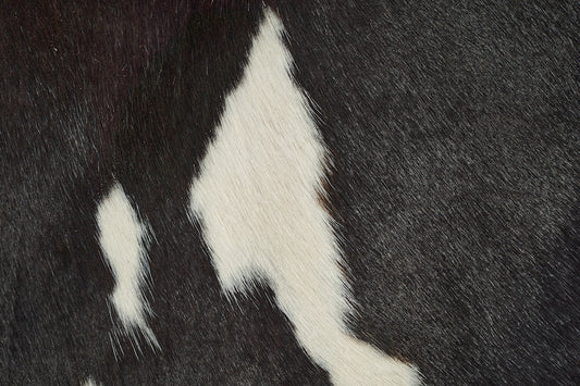 a close up of a cow's black and white pattern