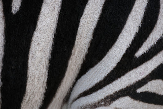a close up of a zebra's black and white stripes