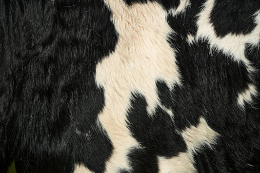 a close up of a black and white cow's fur