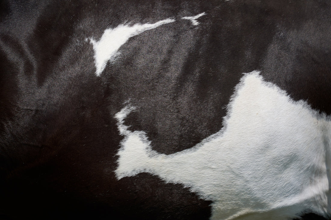 a close up of a cow's black and white spots
