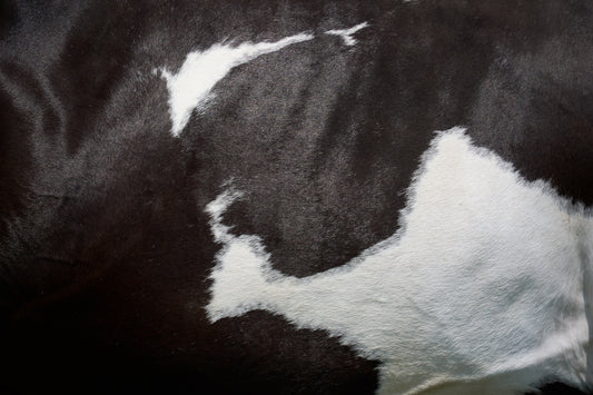 a close up of a cow's black and white spots
