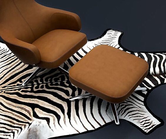 ZEBRA SKIN RUG: MUST KNOWS BEFORE BUYING ONE