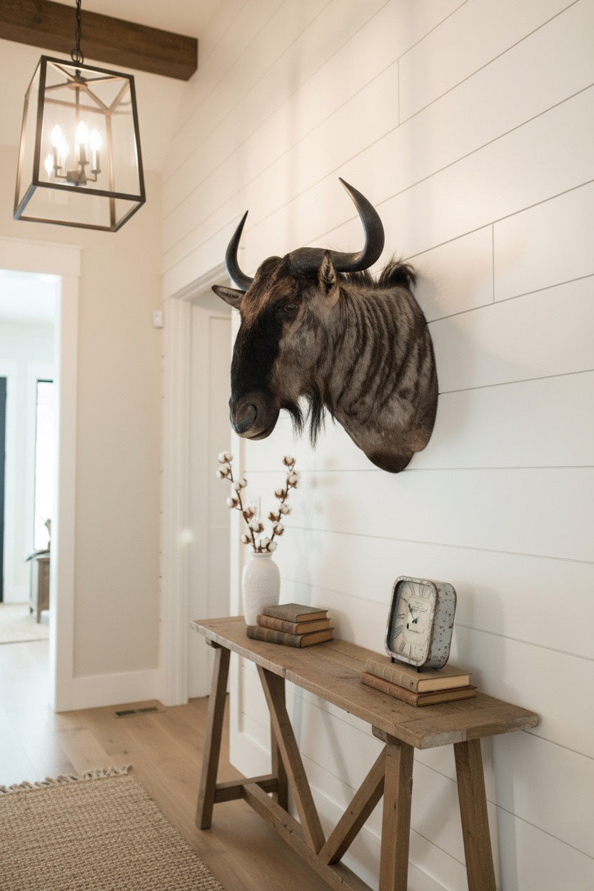 African taxidermy mount featuring a wildebeest shoulder mount in foyer.