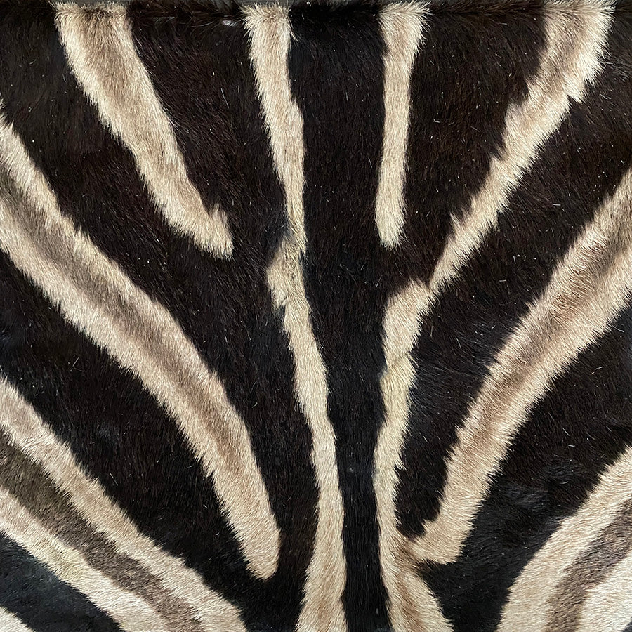 Zebra skin pillow