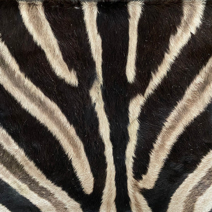Zebra skin pillow