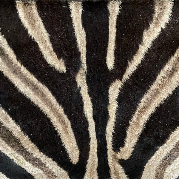 Zebra skin pillow