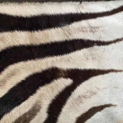 Zebra skin pillow