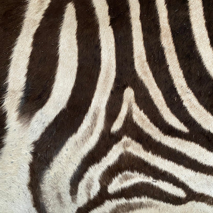 16" Zebra Hide Pillow Cover 06