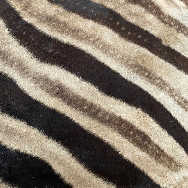 16" Zebra Hide Pillow Cover 07