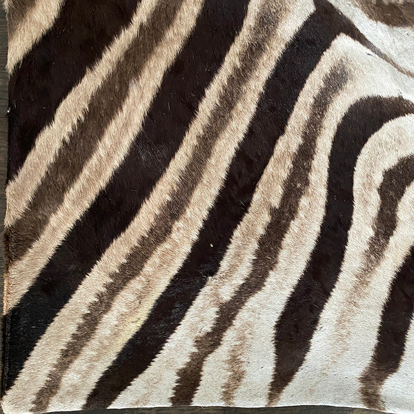16" Zebra Hide Pillow Cover 10