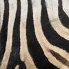 16" Zebra Hide Pillow Cover 11