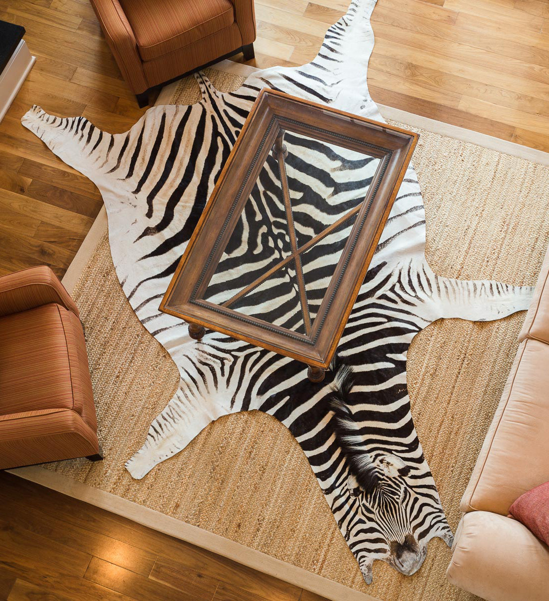 Trophy Zebra Skin Rug No Felt - Authentic African Hide 10x6 ft | Free ...