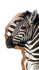 Main Zebra shoulder mount taxidermy