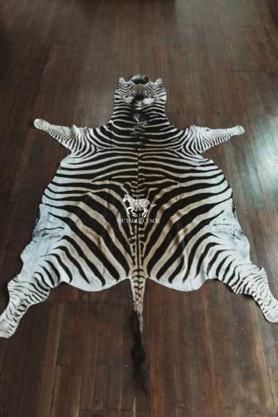 Zebra Skin Rug - Order Now
