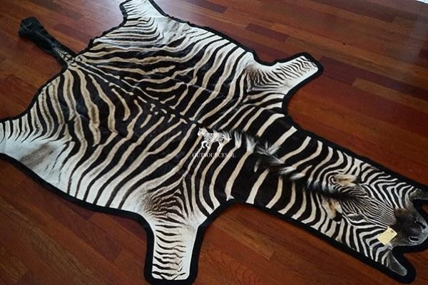 Show New - Zebra Skin Rug US Supplier