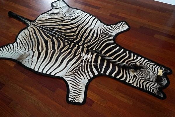 OutSourceSol - Supplier of Genuine Zebra Hide