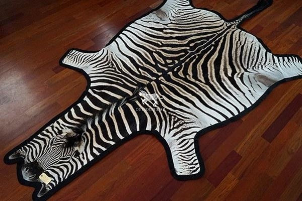 OutSourceSol - Supplier of Genuine Zebra Hide