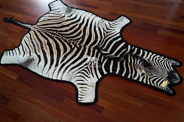 Shop Now - Real Zebra Skin Rug