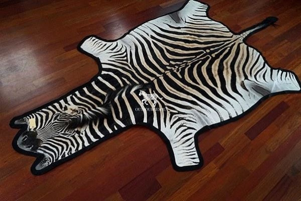 Shop Now - Real Zebra Skin Rug