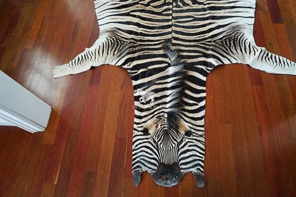 Shop Real Zebra Rugs