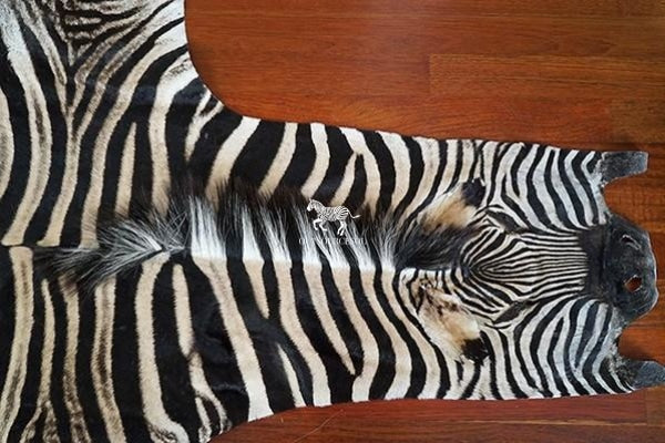 Shop Real Zebra Rugs