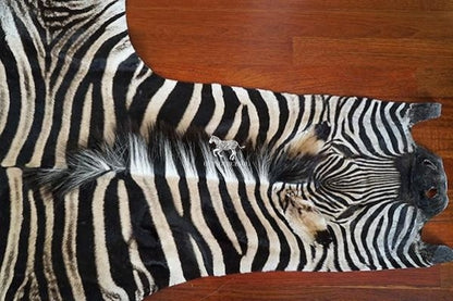 Shop Real Zebra Rugs